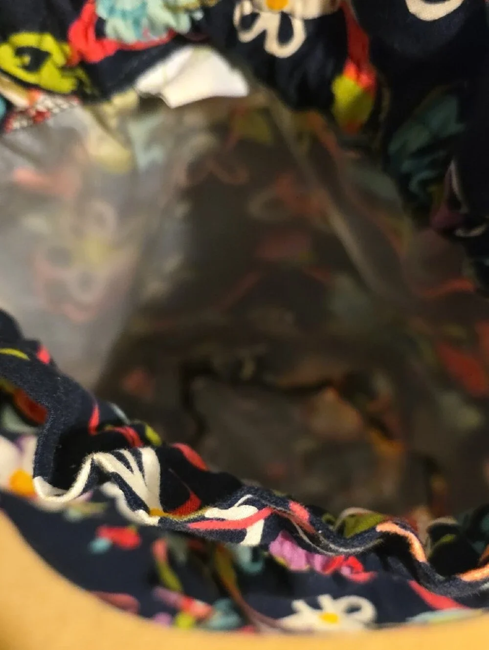 Vera Bradley stylish navy
